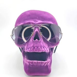 Ray-Ban Sunglasses RB3449